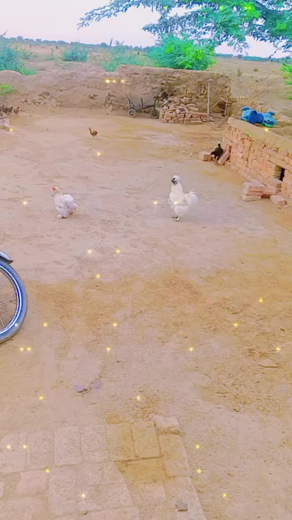 @Punjab