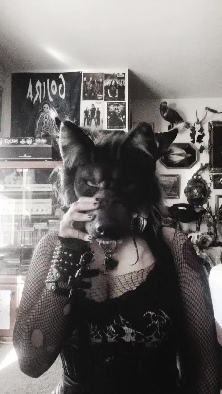 @XlycanbloodXx 𓃦