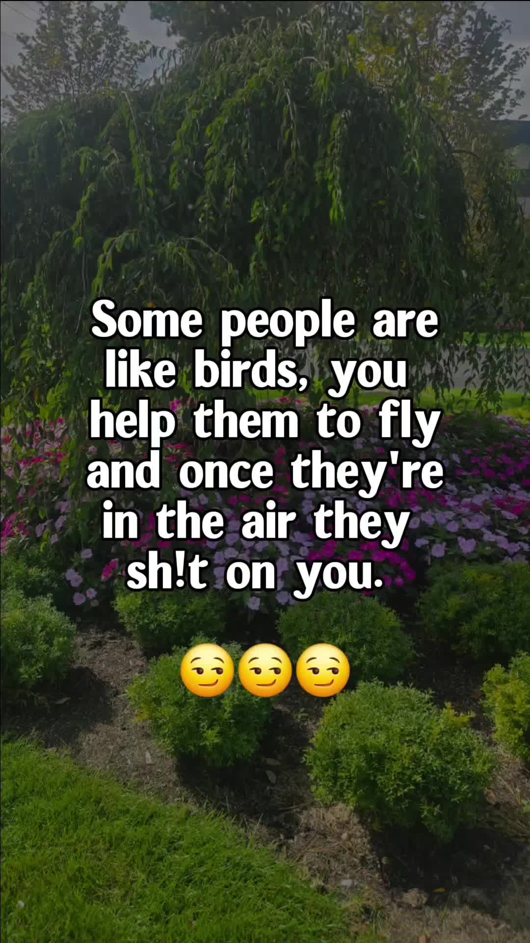 @Debs623