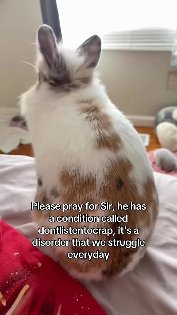 @snackqueenandsir