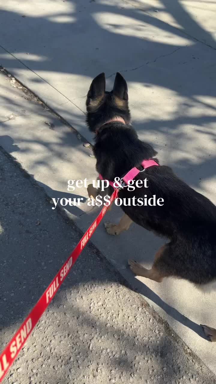 @Kiki