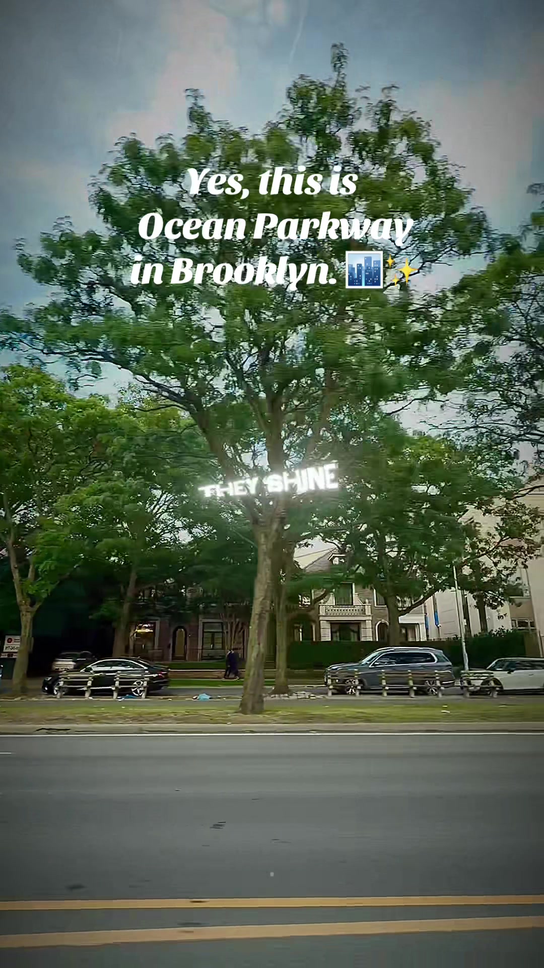 @nyc.vibes.idea