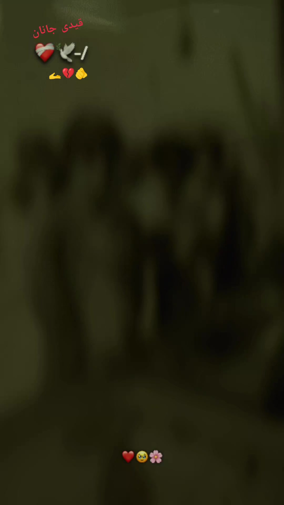 @NK  Jan 804