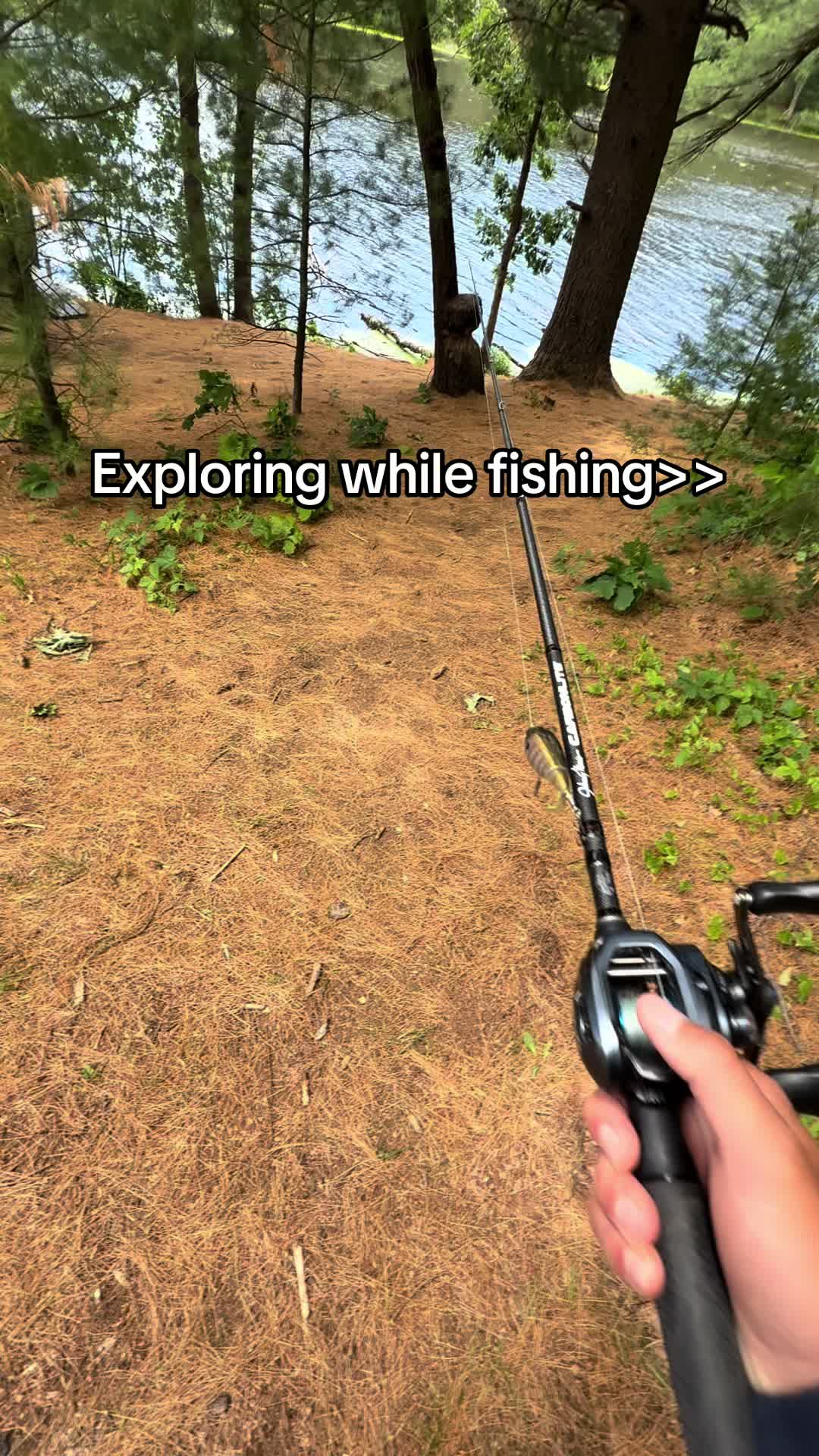 @House of Fishing