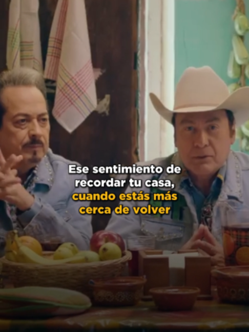 @lostigresdelnorte