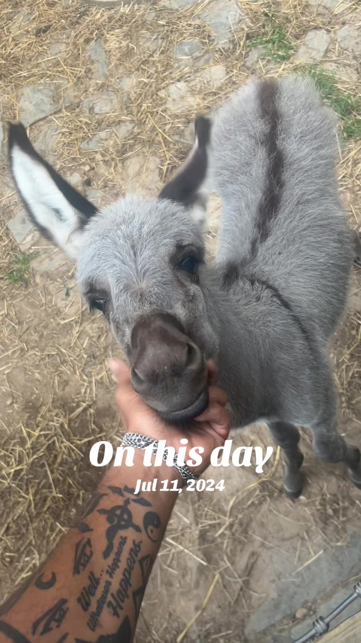 @AJ