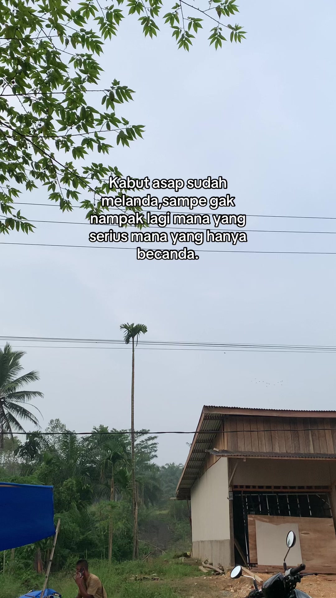 @🐼