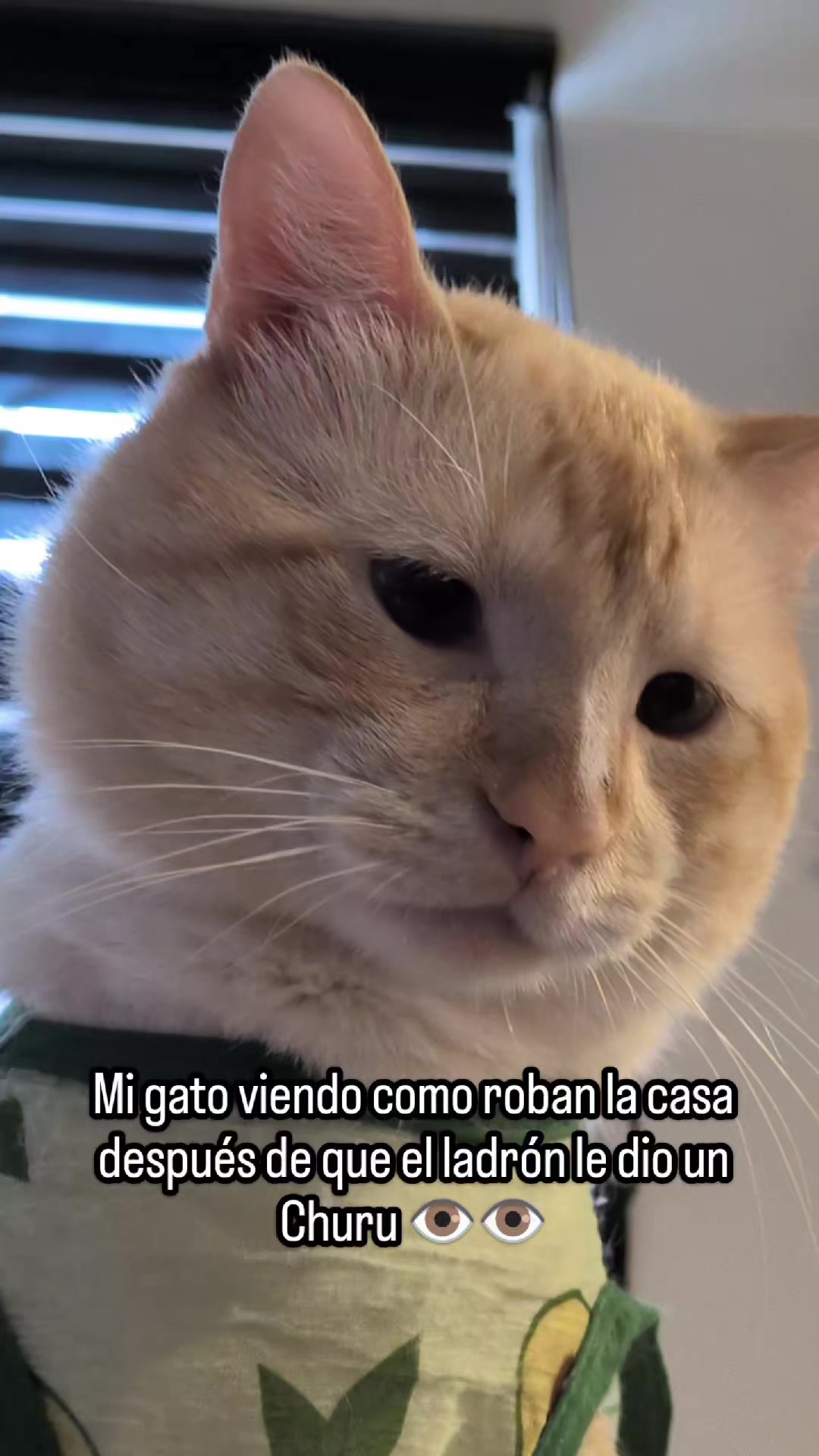 @zotemikiymar