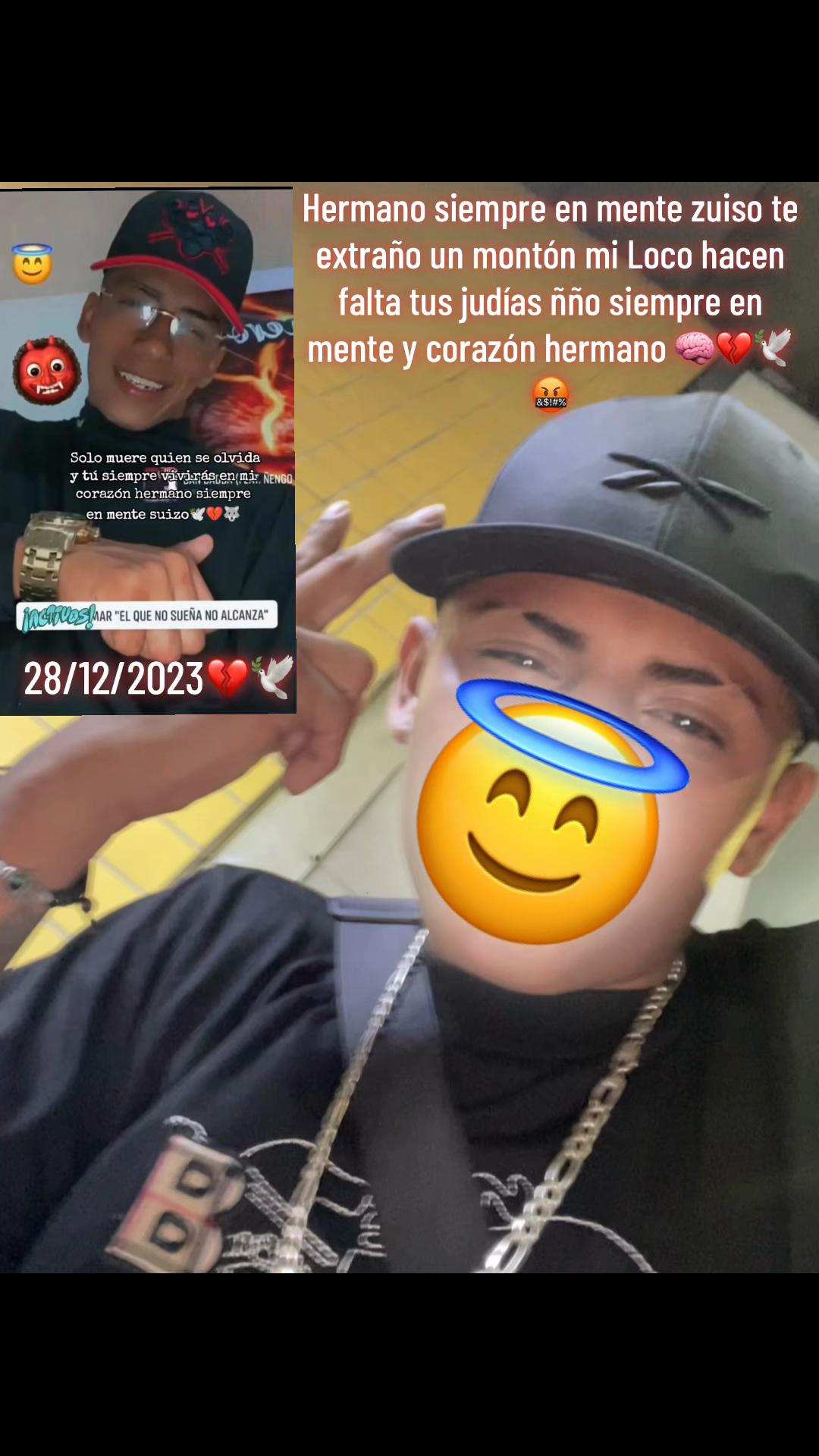 @Voltaje MR🐭💞
