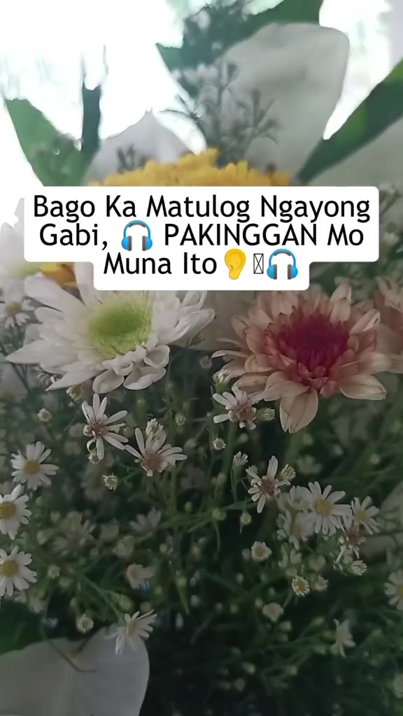 @🙏 Always 🙏