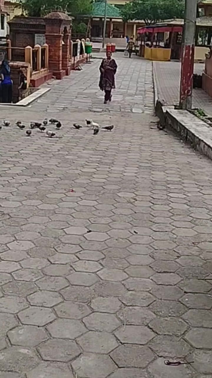 @Ranjan singh 54