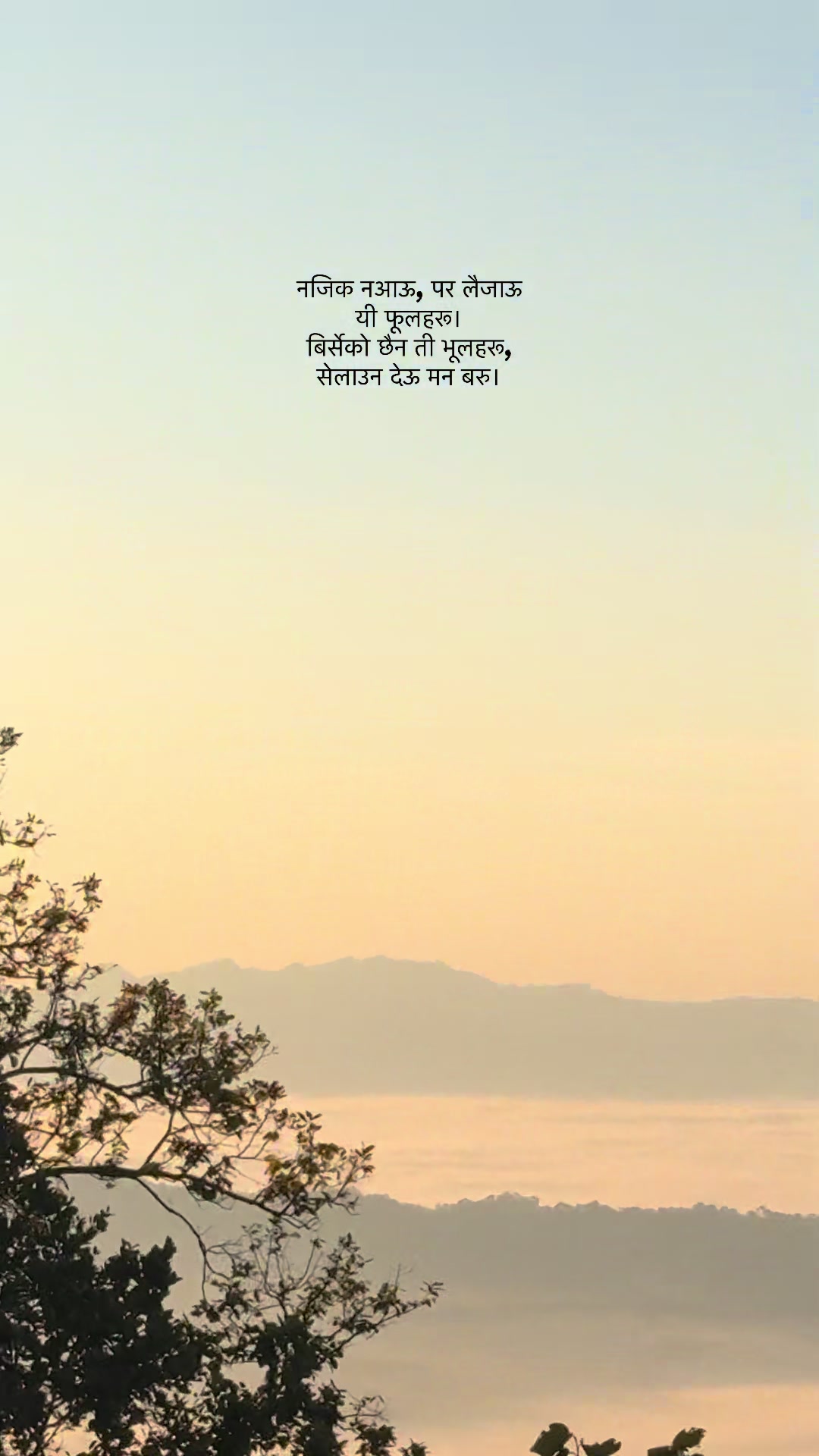 @Nishant T Magar