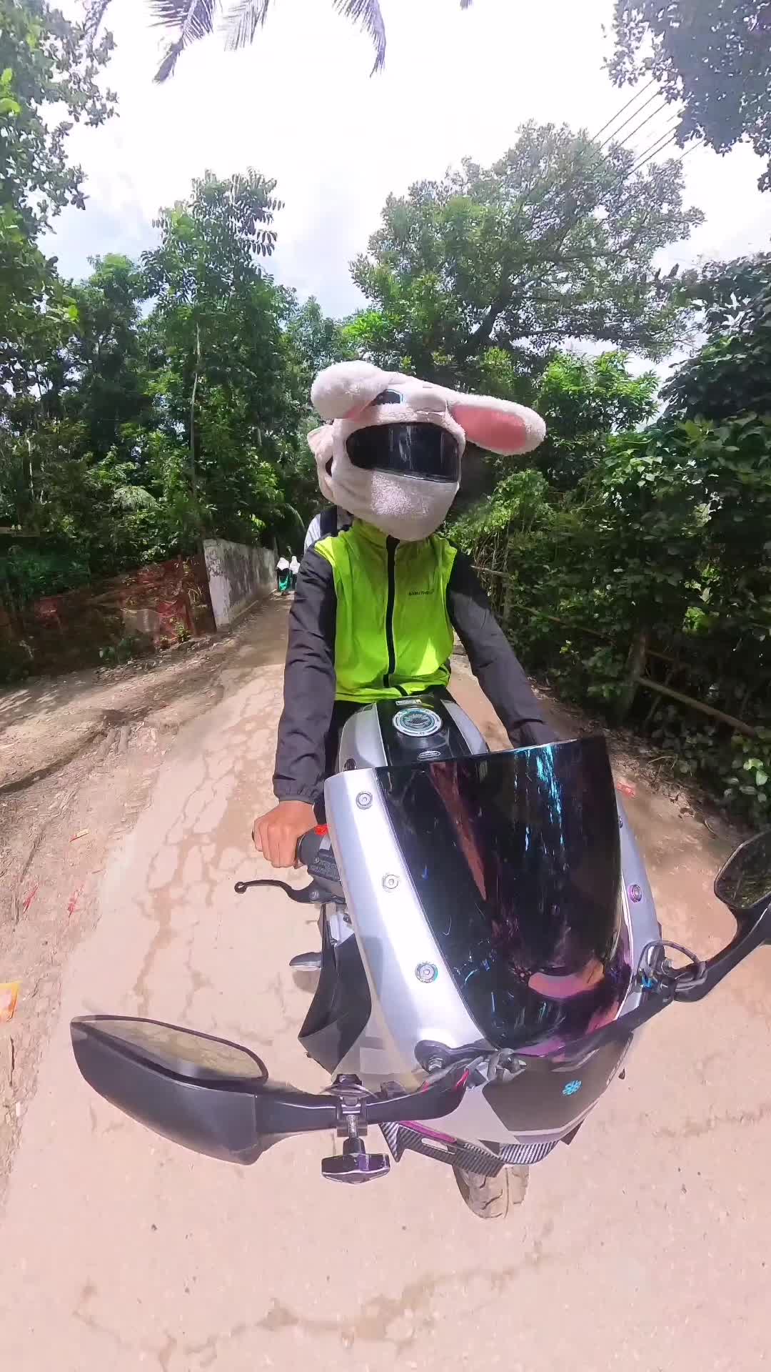 @Mr.Bunny