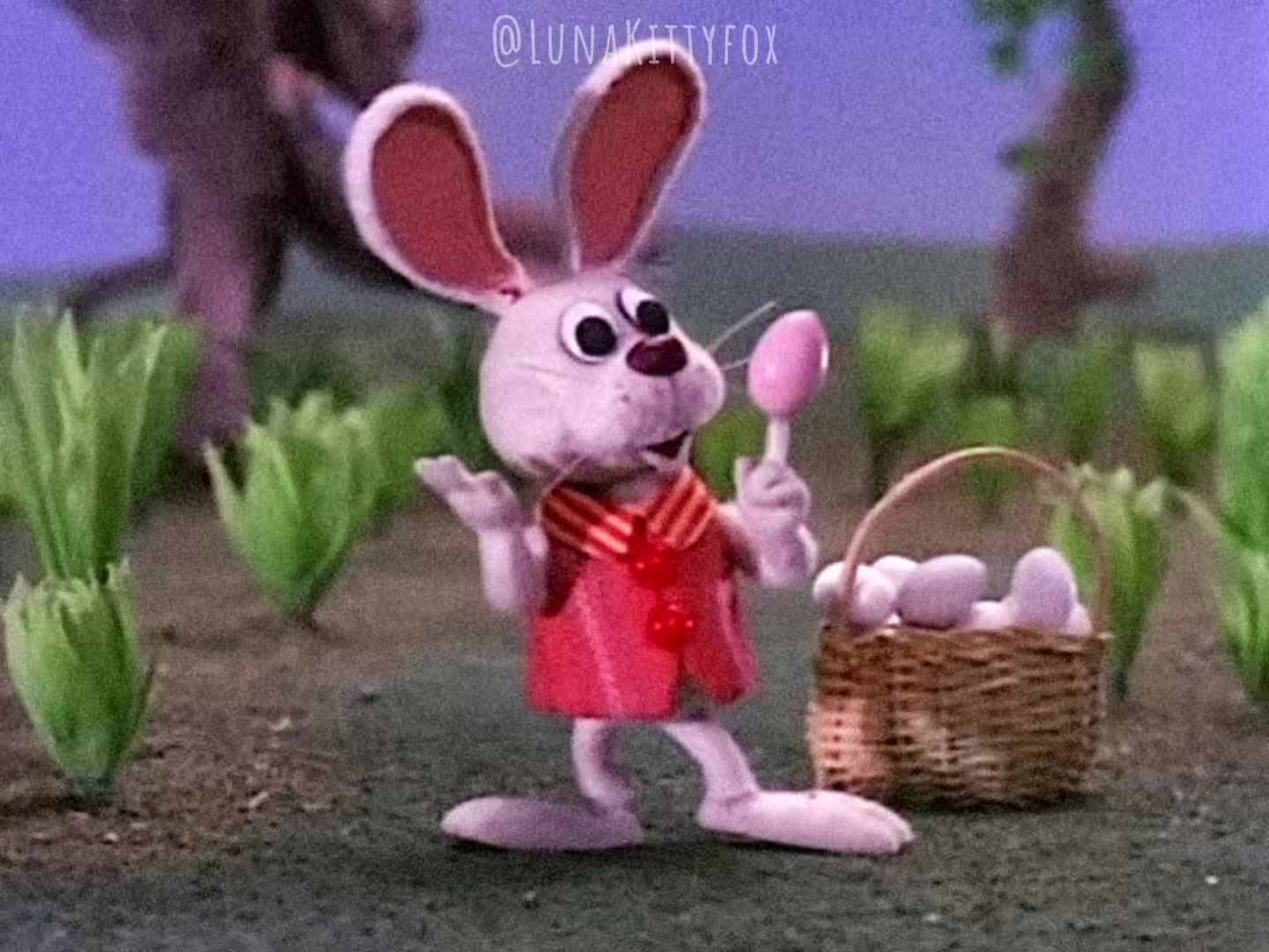 @The REAL LunaKittyfox