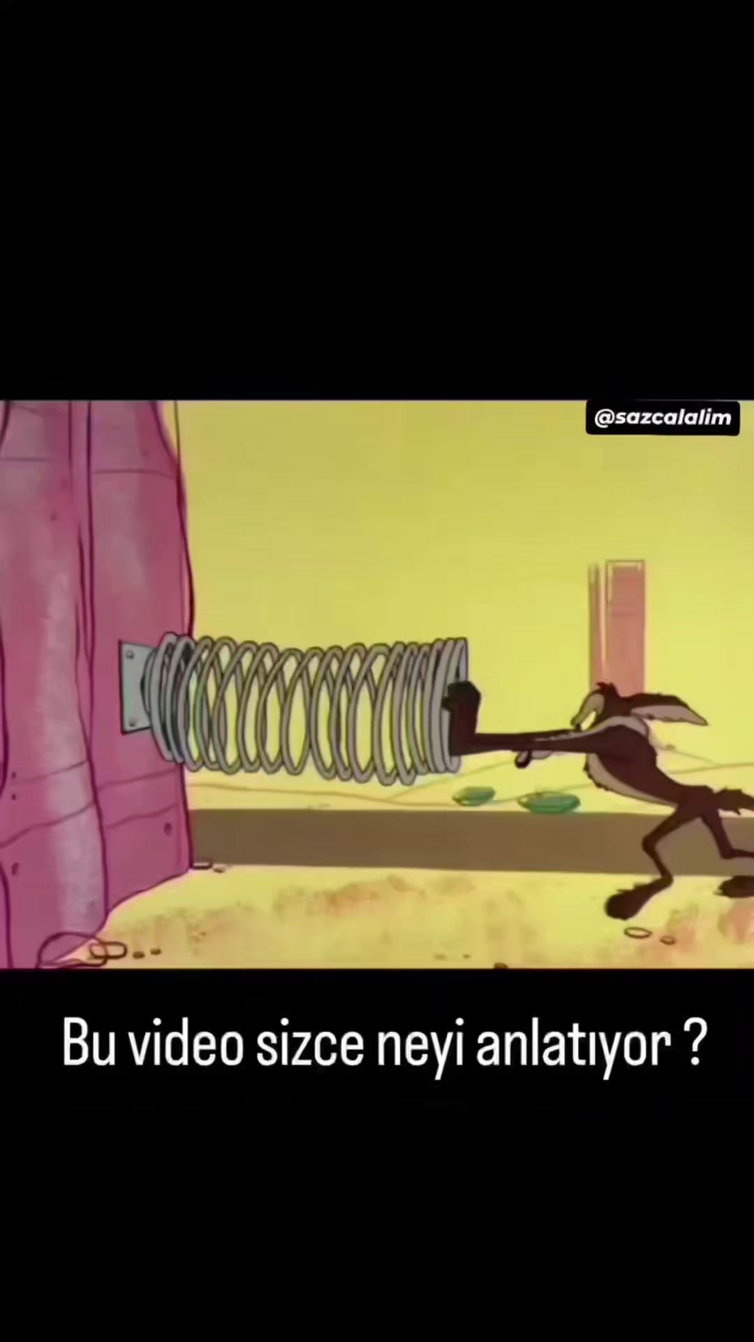 @sazcalalim