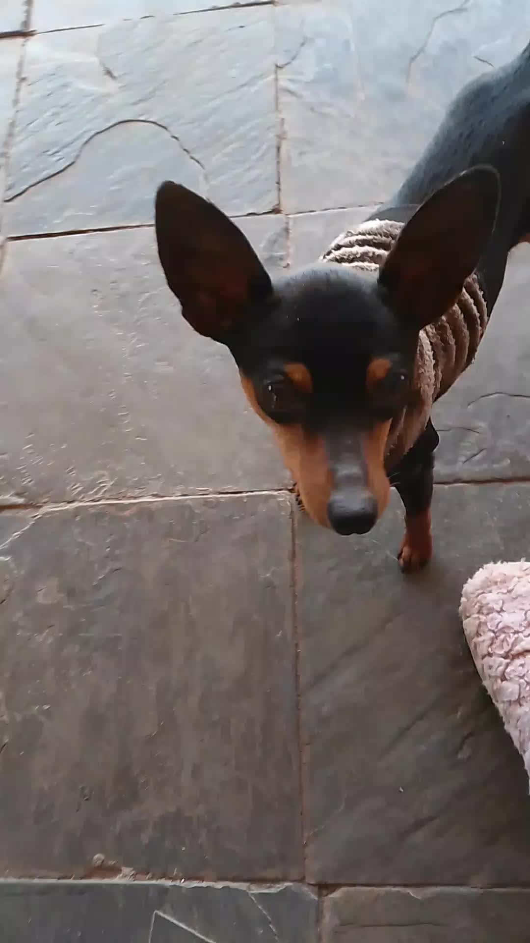 @Esté🇿🇦