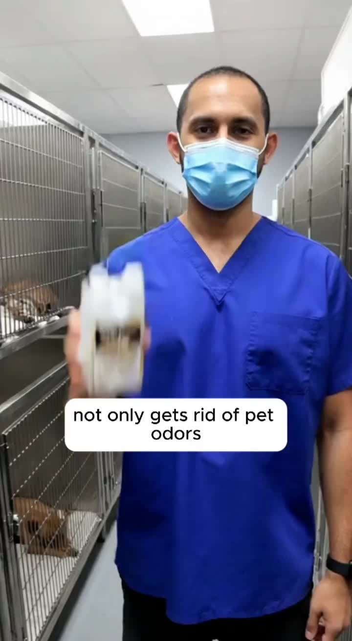 @pawpawchum