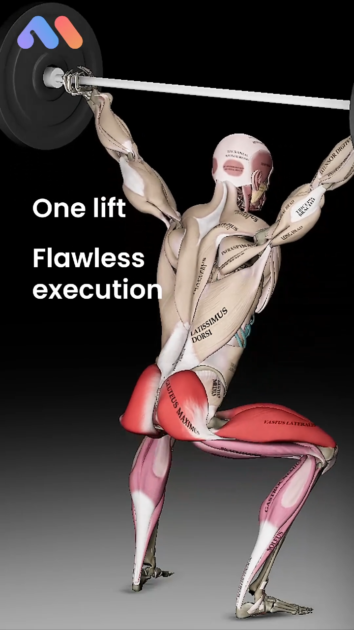 @Muscle & Motion