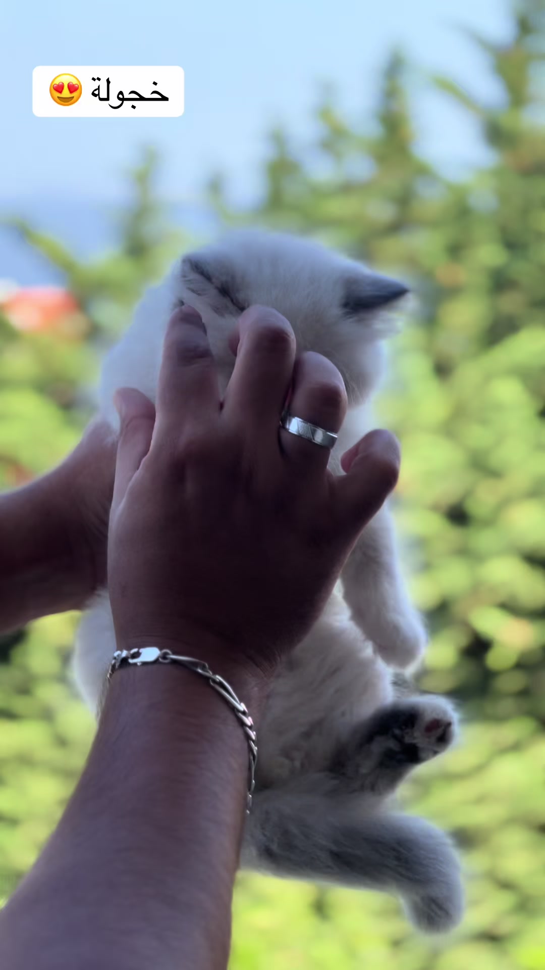 @pets.passion1