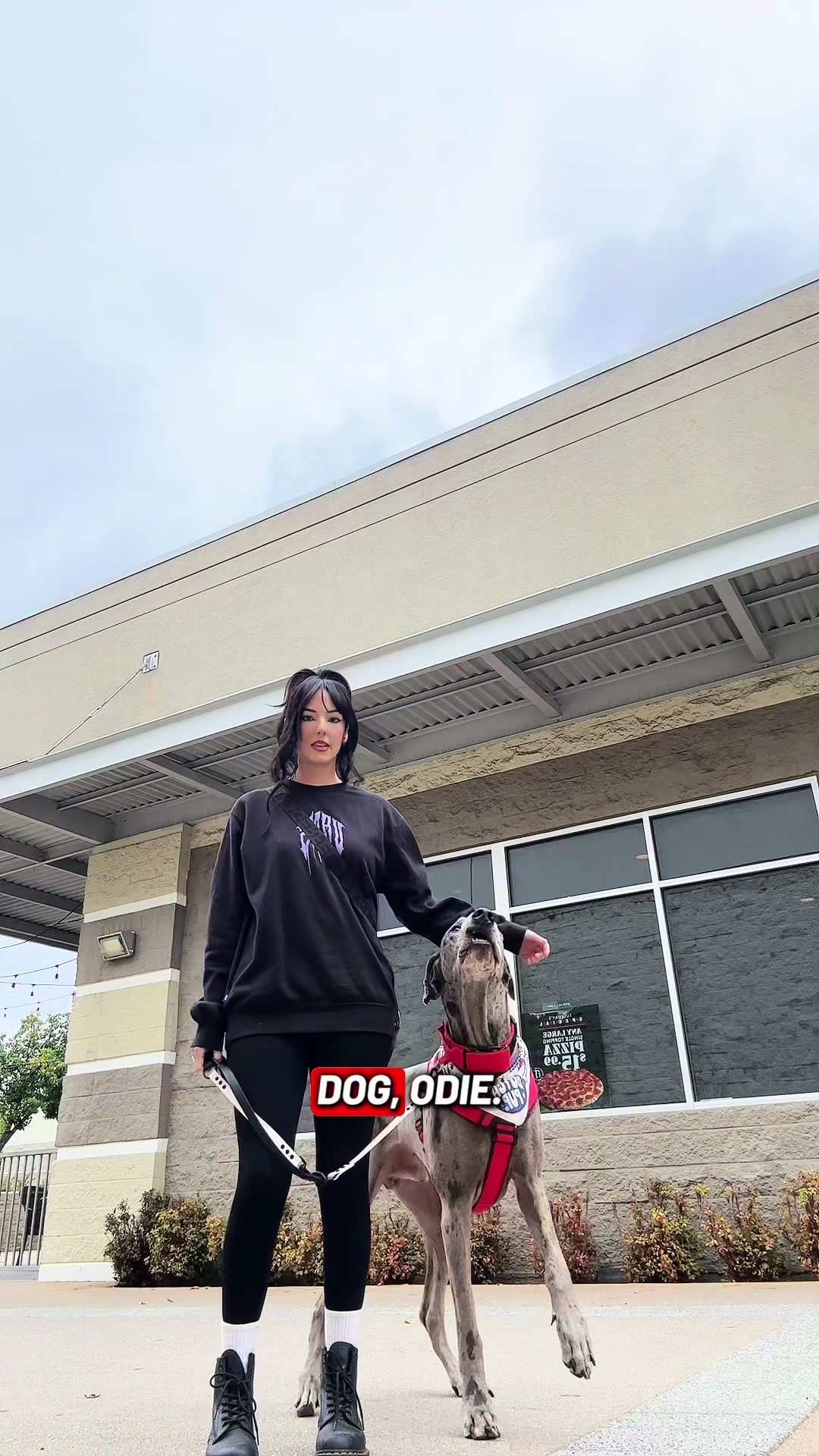 @lex 🐺⛓️