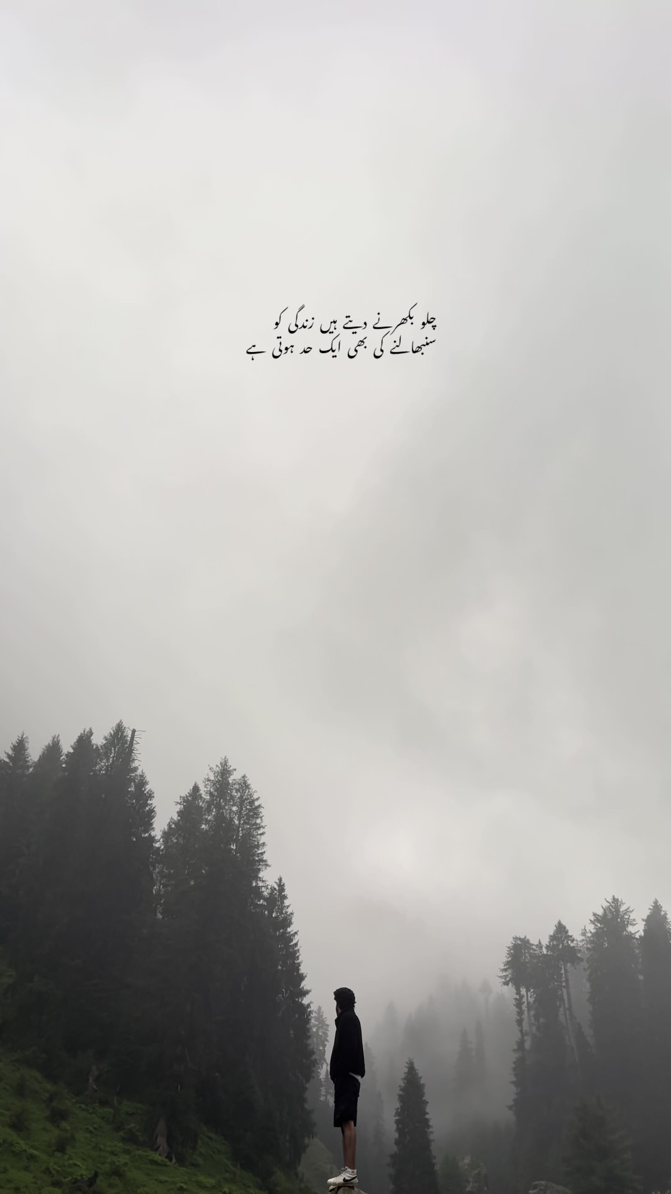 @سیدفہدحسین شاہ