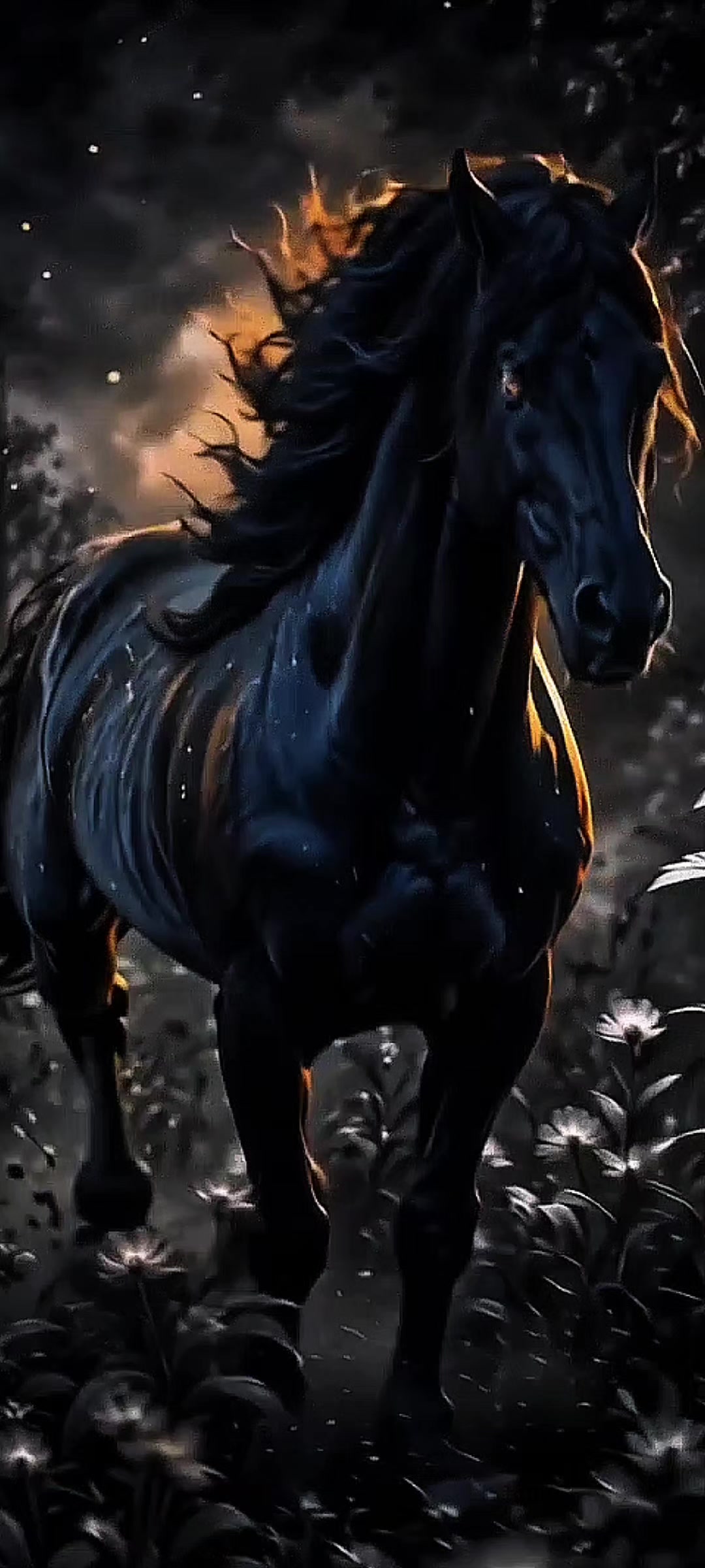 @Live wallpaper