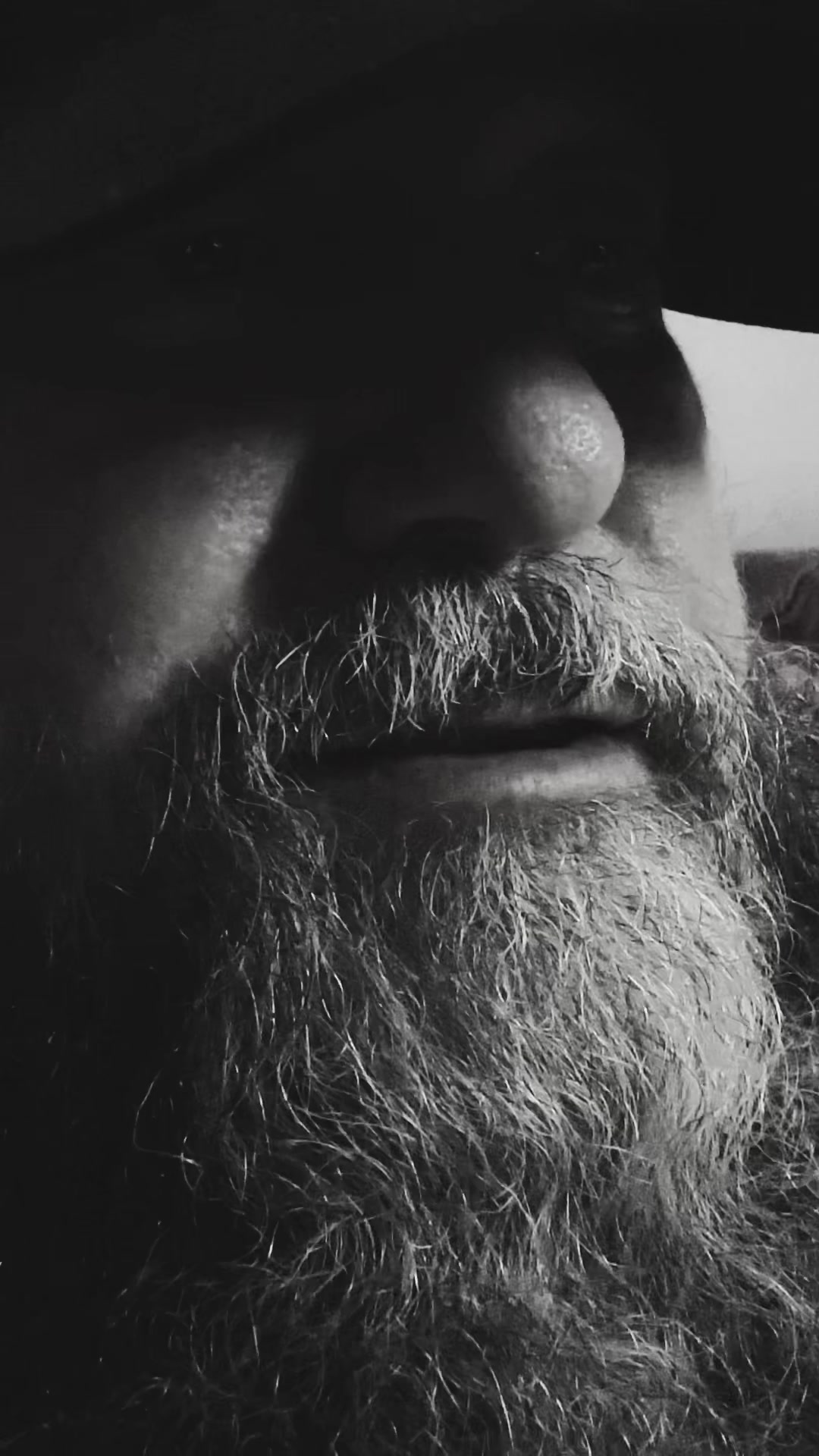 @beardedmini