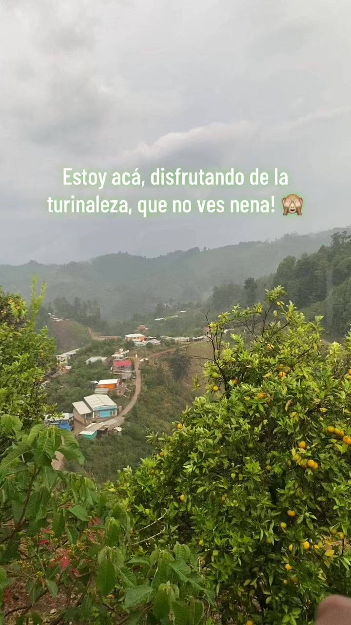 @Diliany Pérez Castro