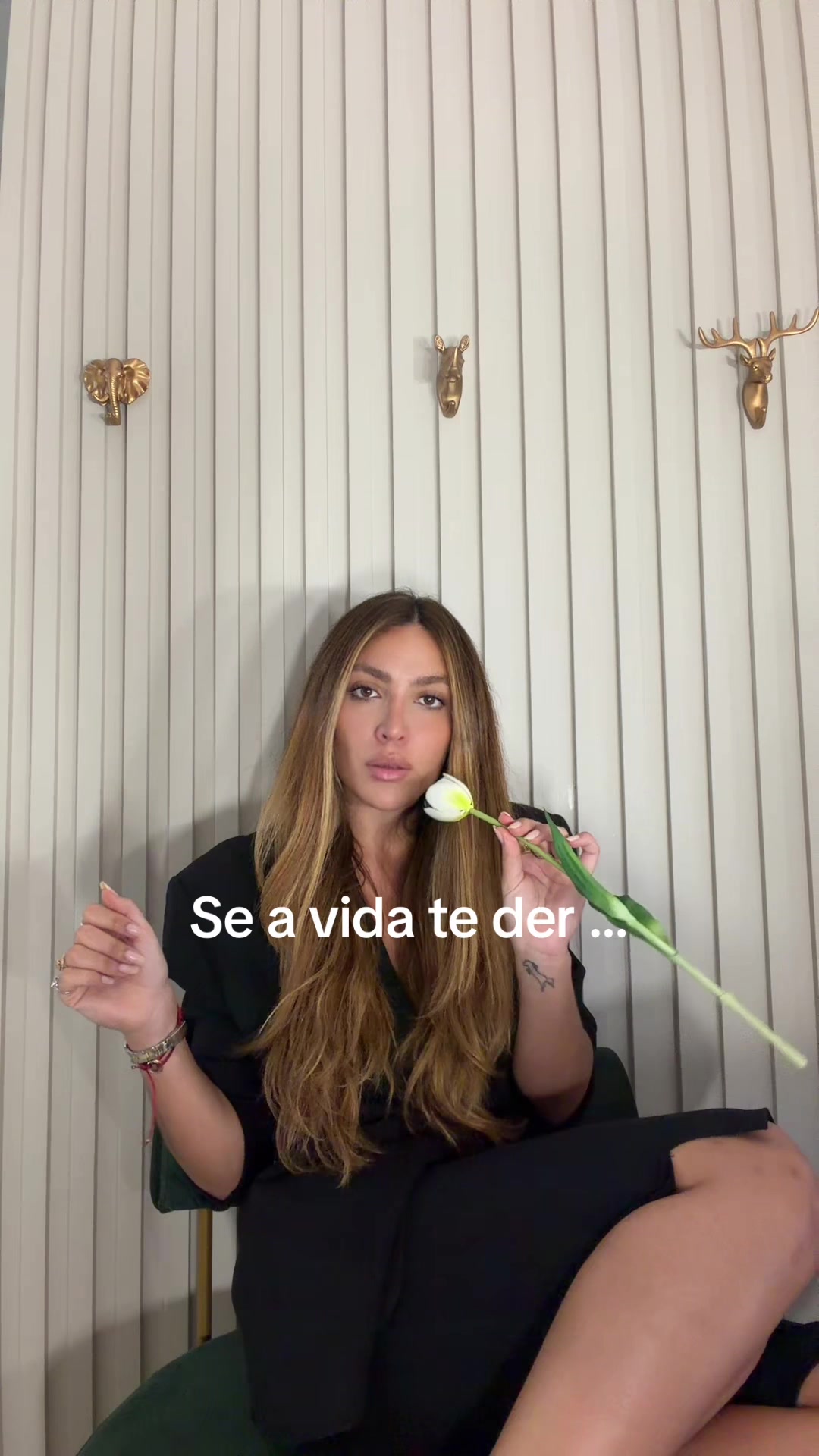 @Sarah Vasconcellos