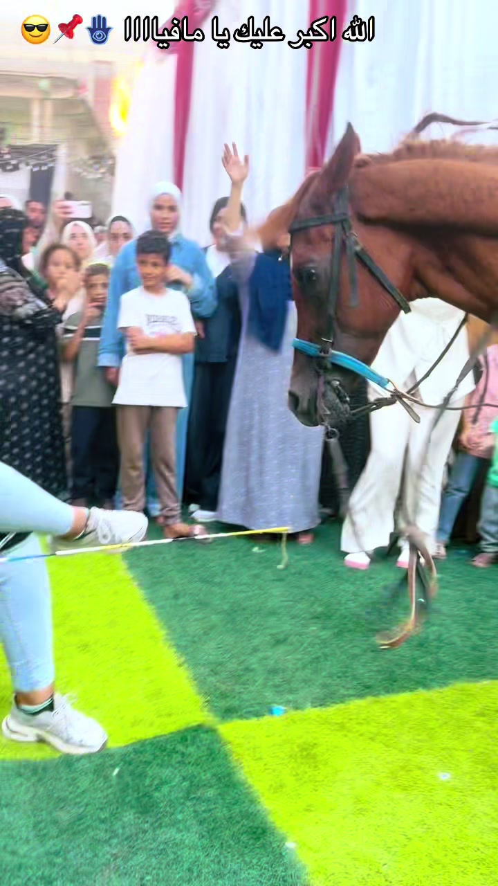 @الملكه شهد عبدالرحمن 🥇🐴&hearts;️