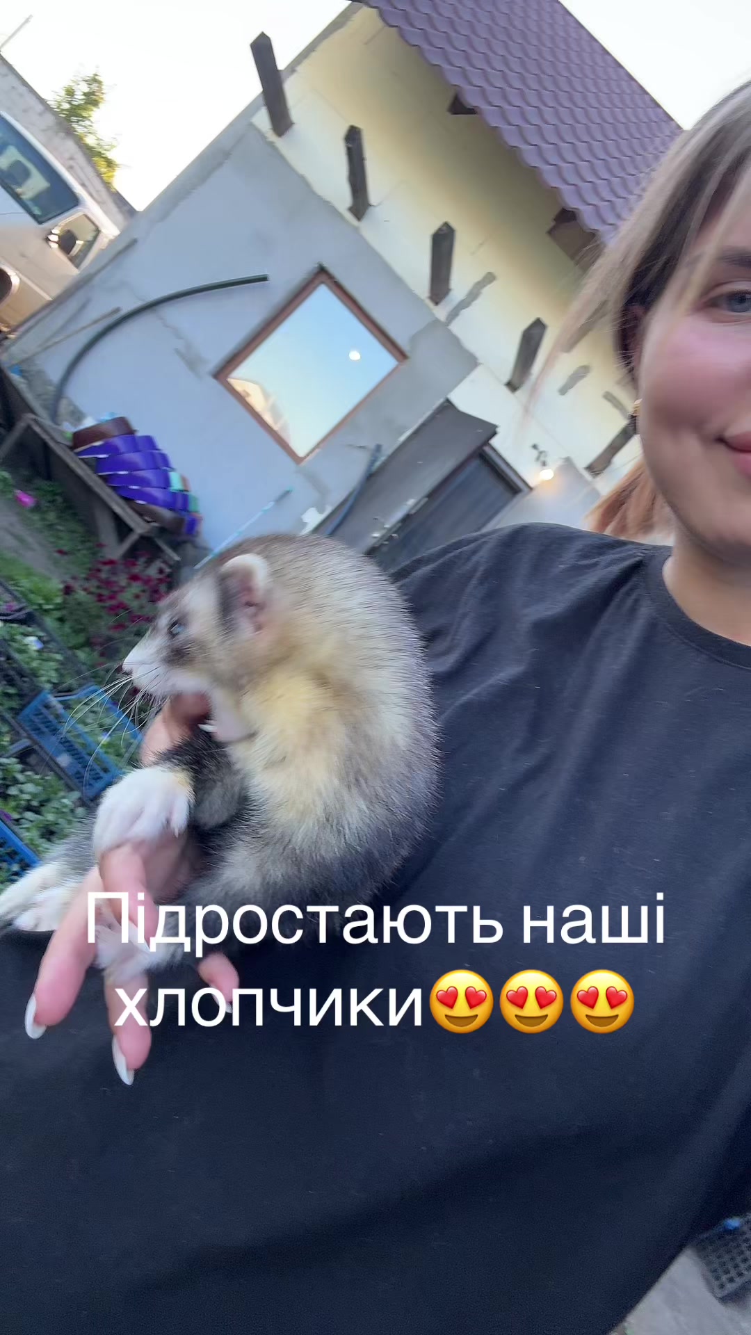 @🦦 Хорьки Київ 🇺🇦
