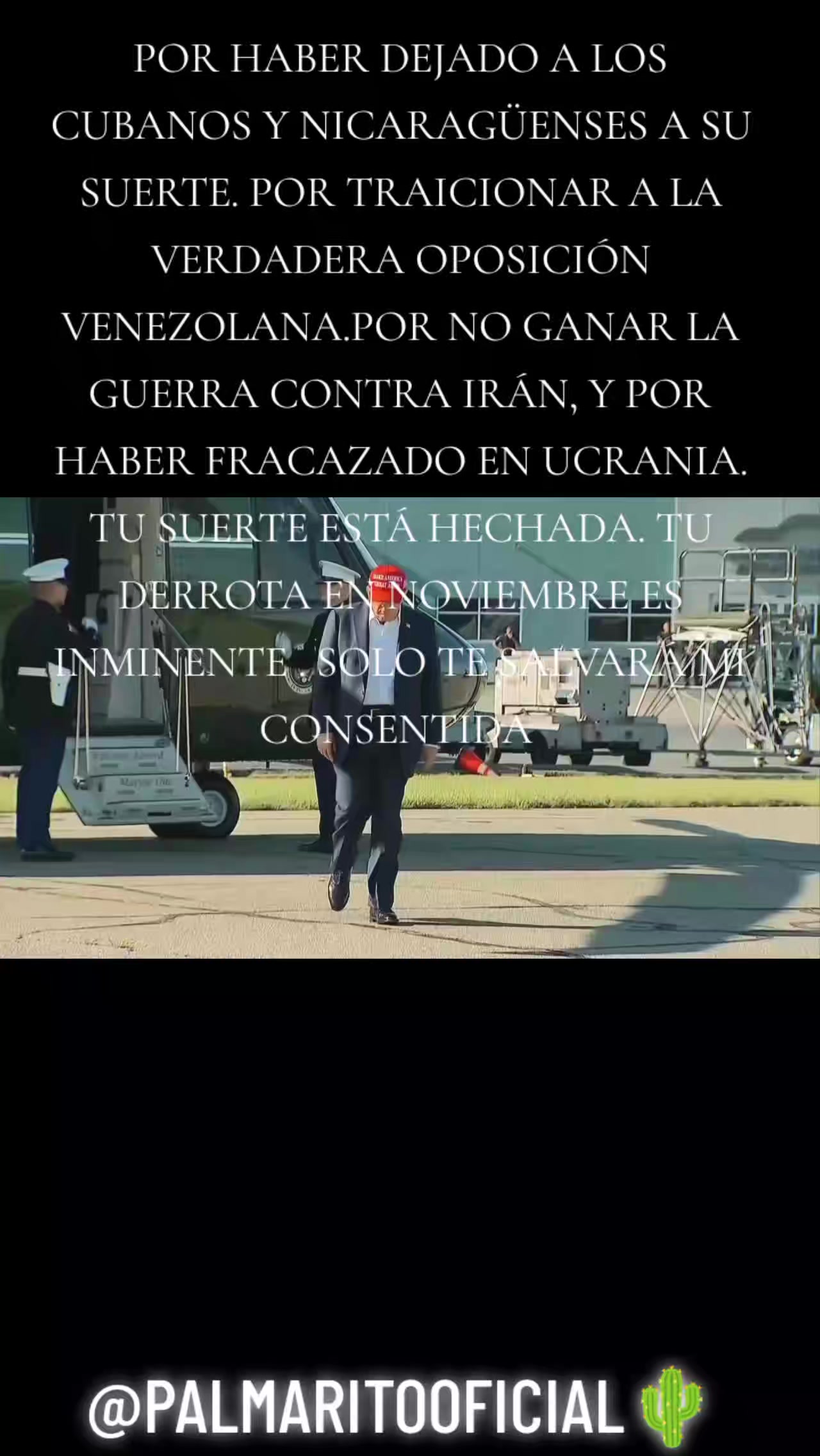 @PALMARITOOFICIAL 🌵