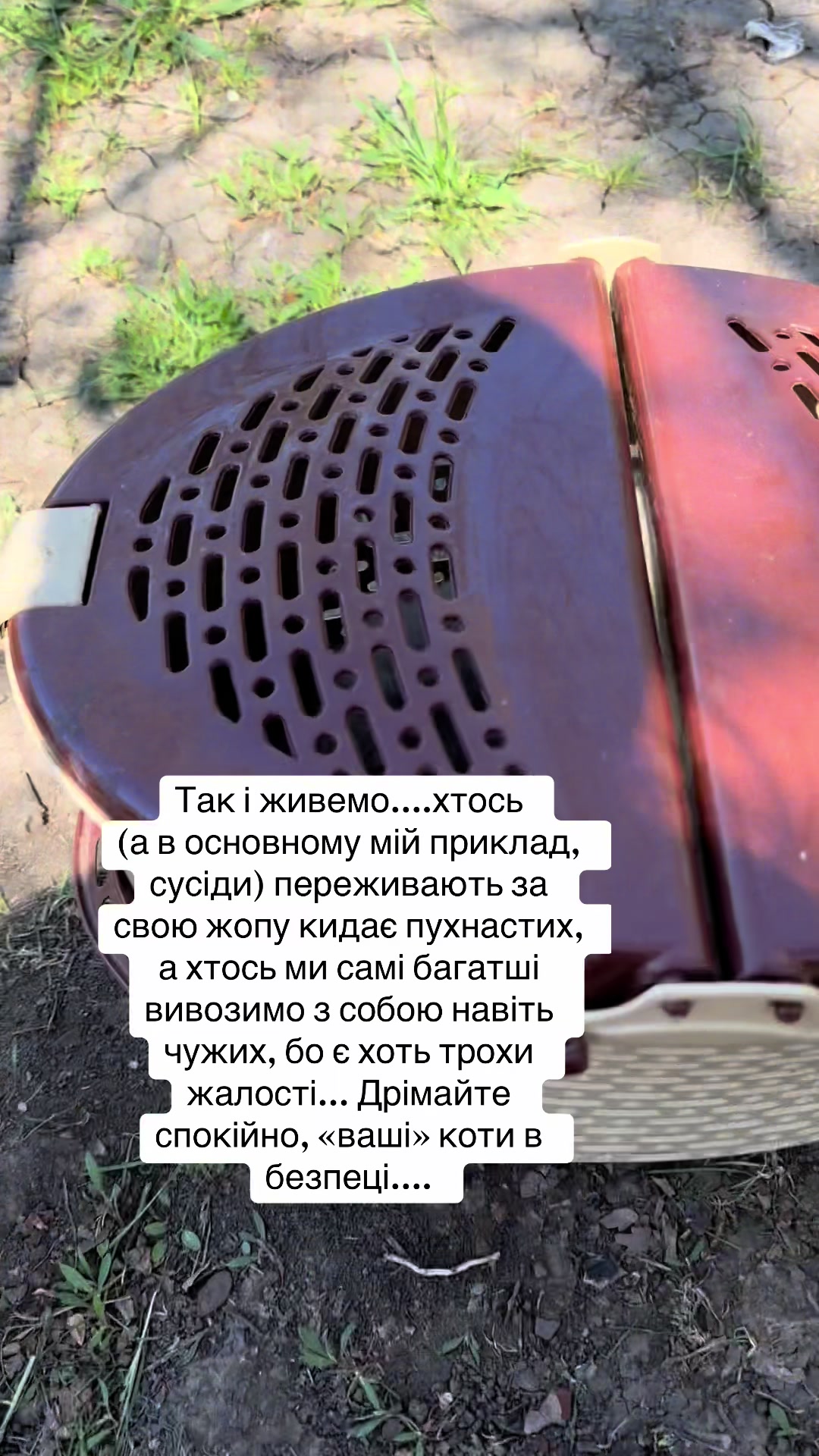 @karine_no_ne_ta