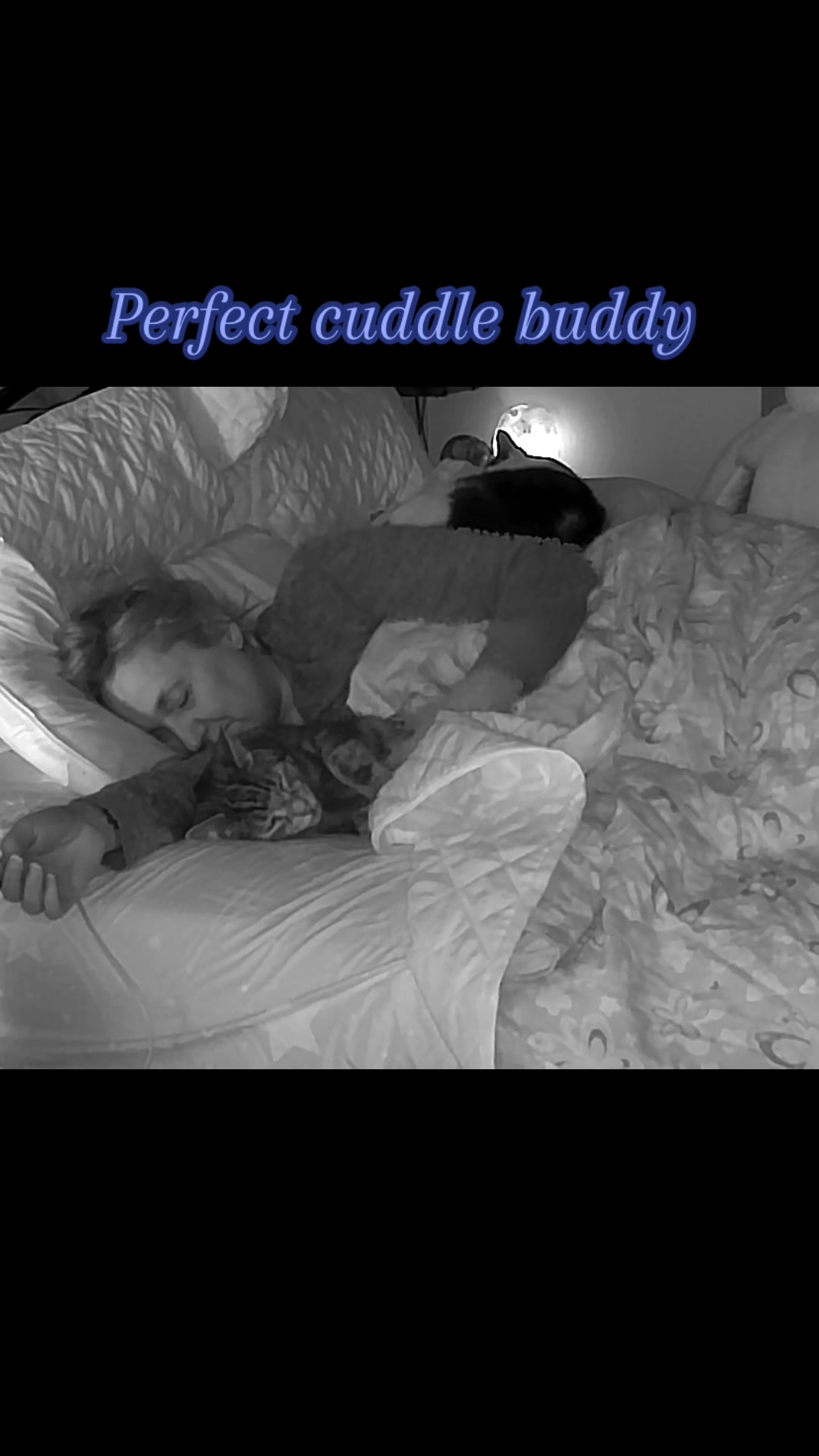 @romina_mycatfamily
