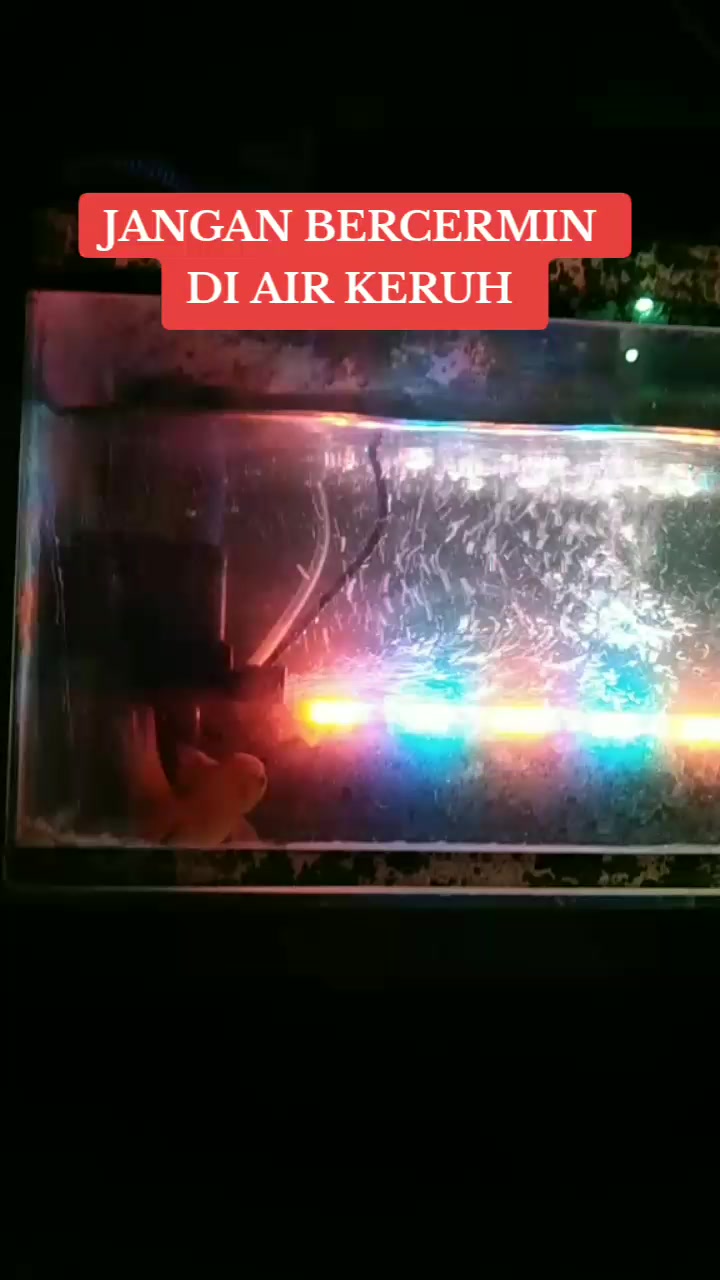 @💟 Sehati 🇮🇩