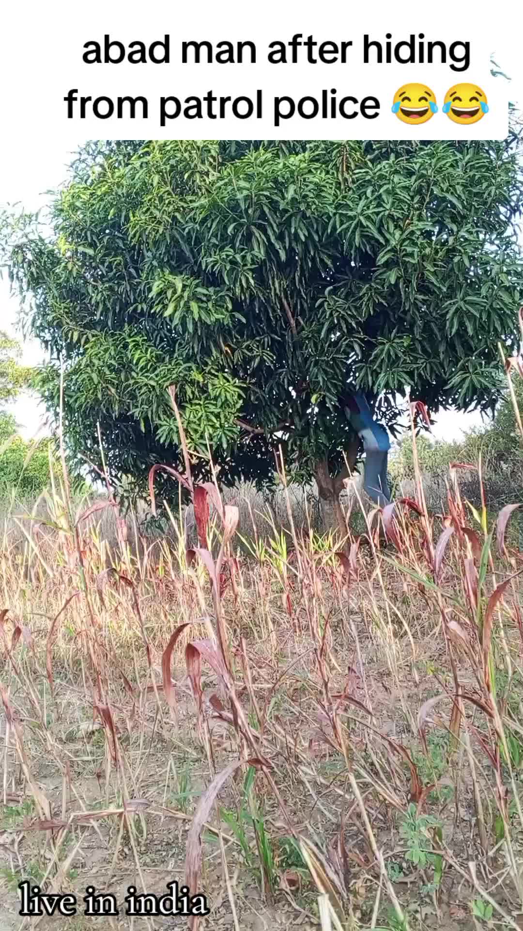 @OBOKEplenty