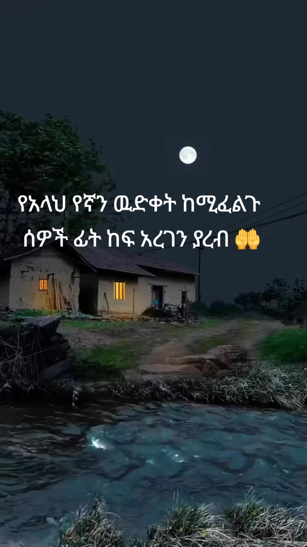 @zehara 🦋🦋🦋🦋