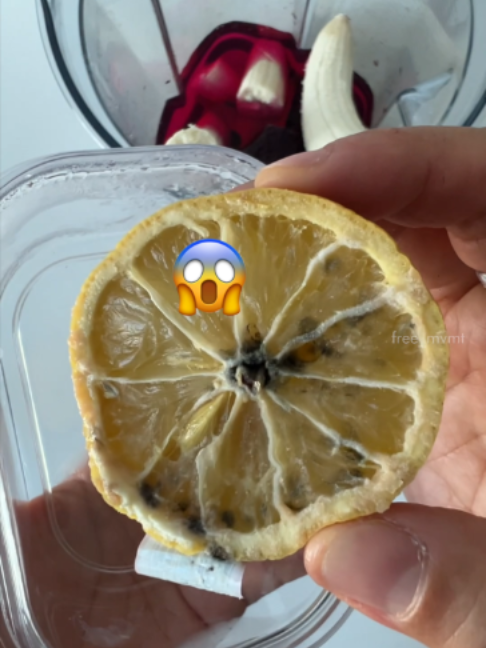 @free_mvmt