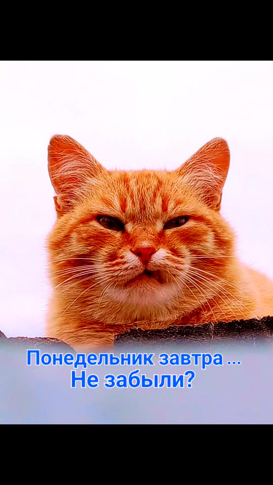 @ooopp