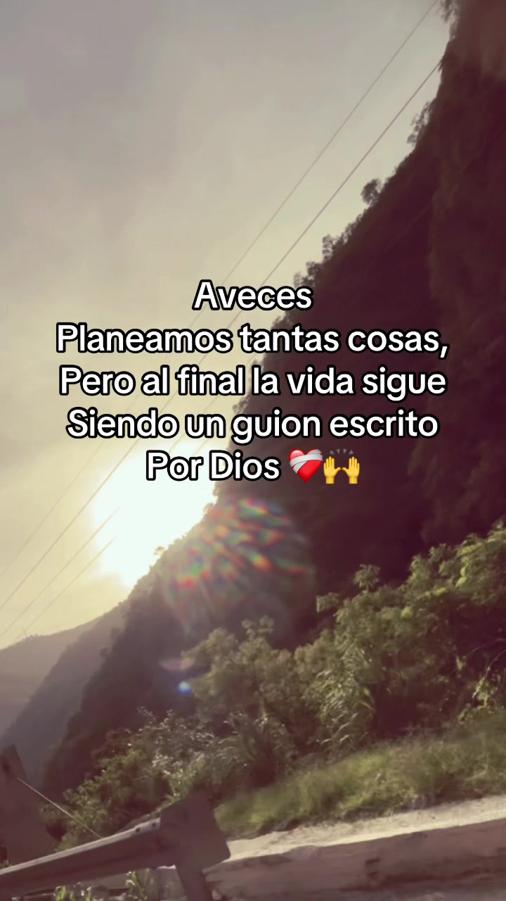 @🌻🎤🌻