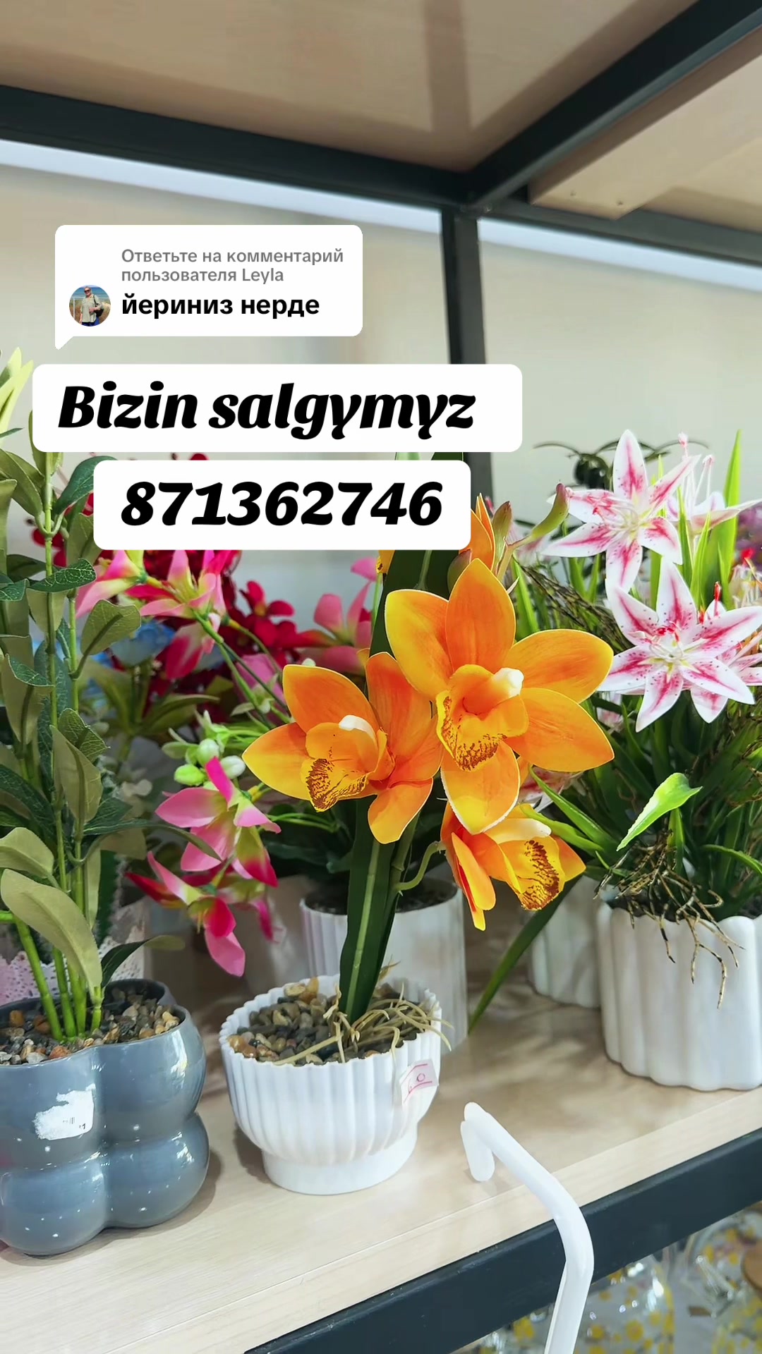 @lebap_belent_home