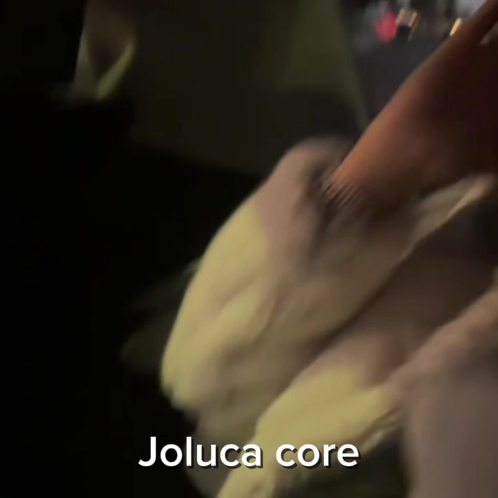 @𝐿𝑜𝒽