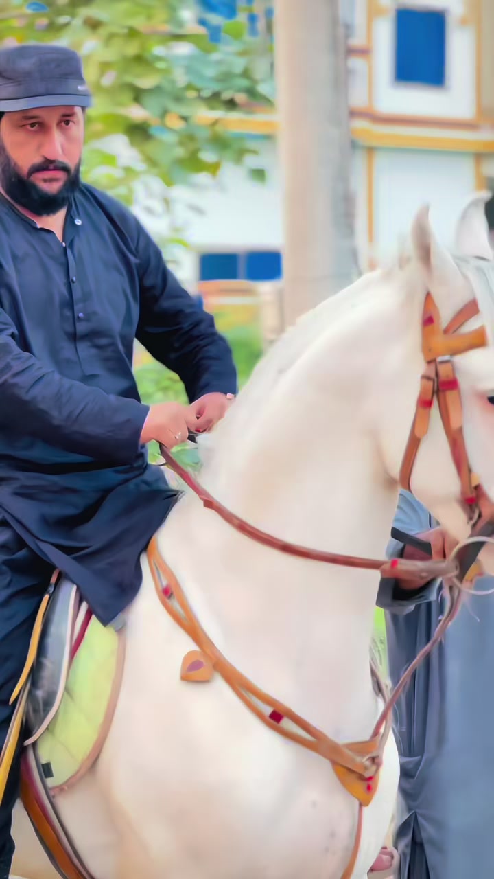 @امیدالغرباء ٹرسٹ لوٹیاںوالا 🤲
