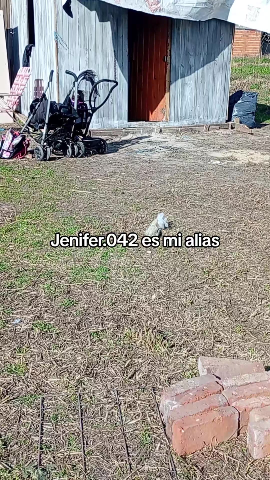 @Jenifer Sanchez