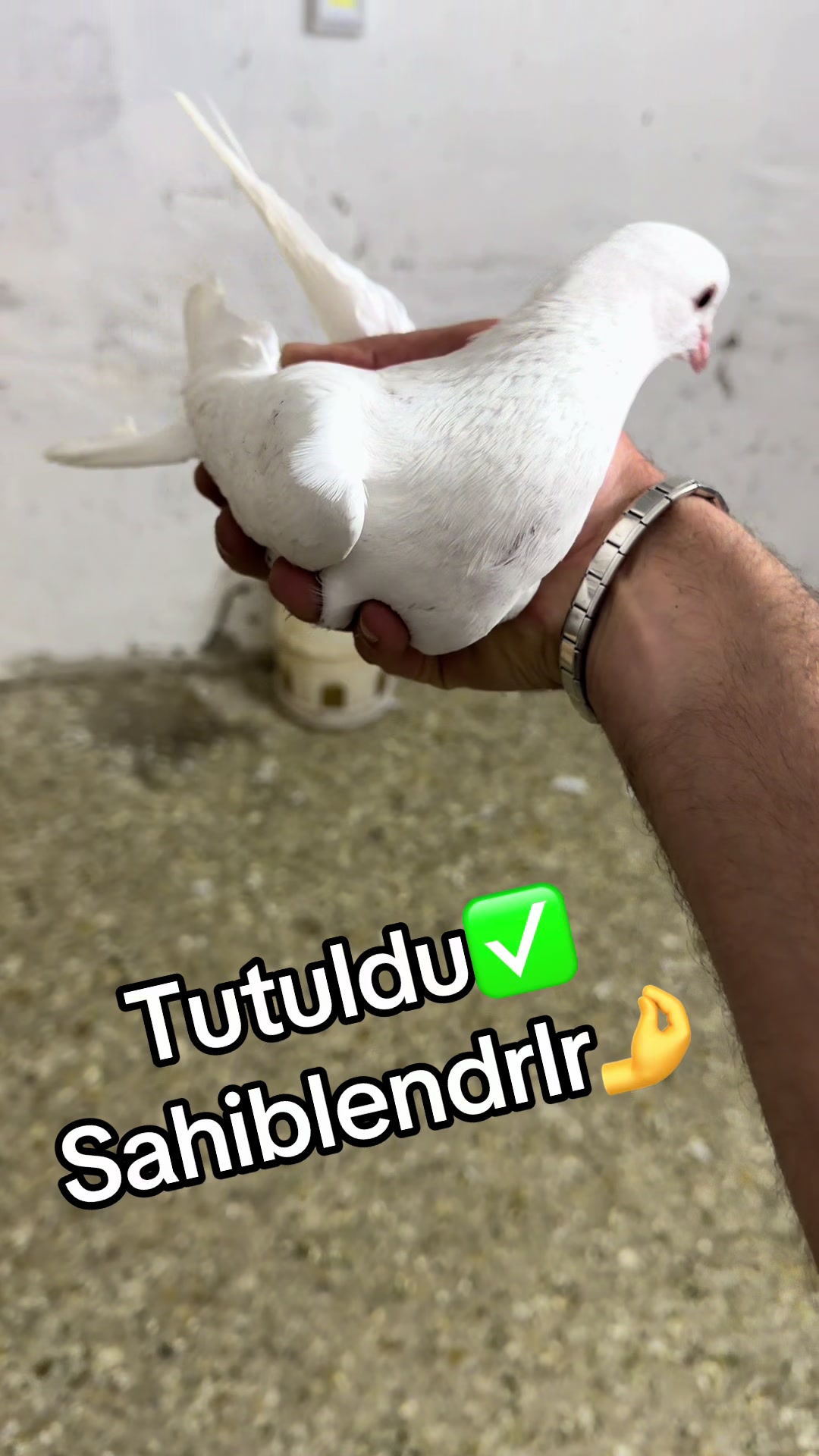 @XAM_BAZ🤘