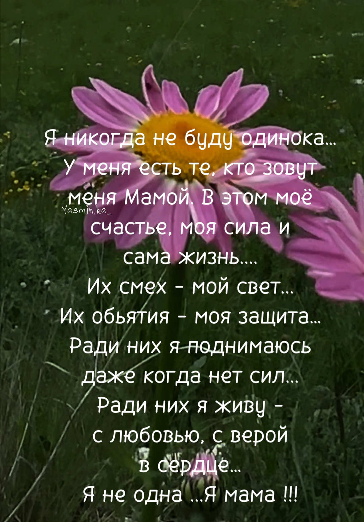 @ℍ𝕒𝕡𝕡𝕪 𝕨𝕠𝕞𝕒𝕟 🤍