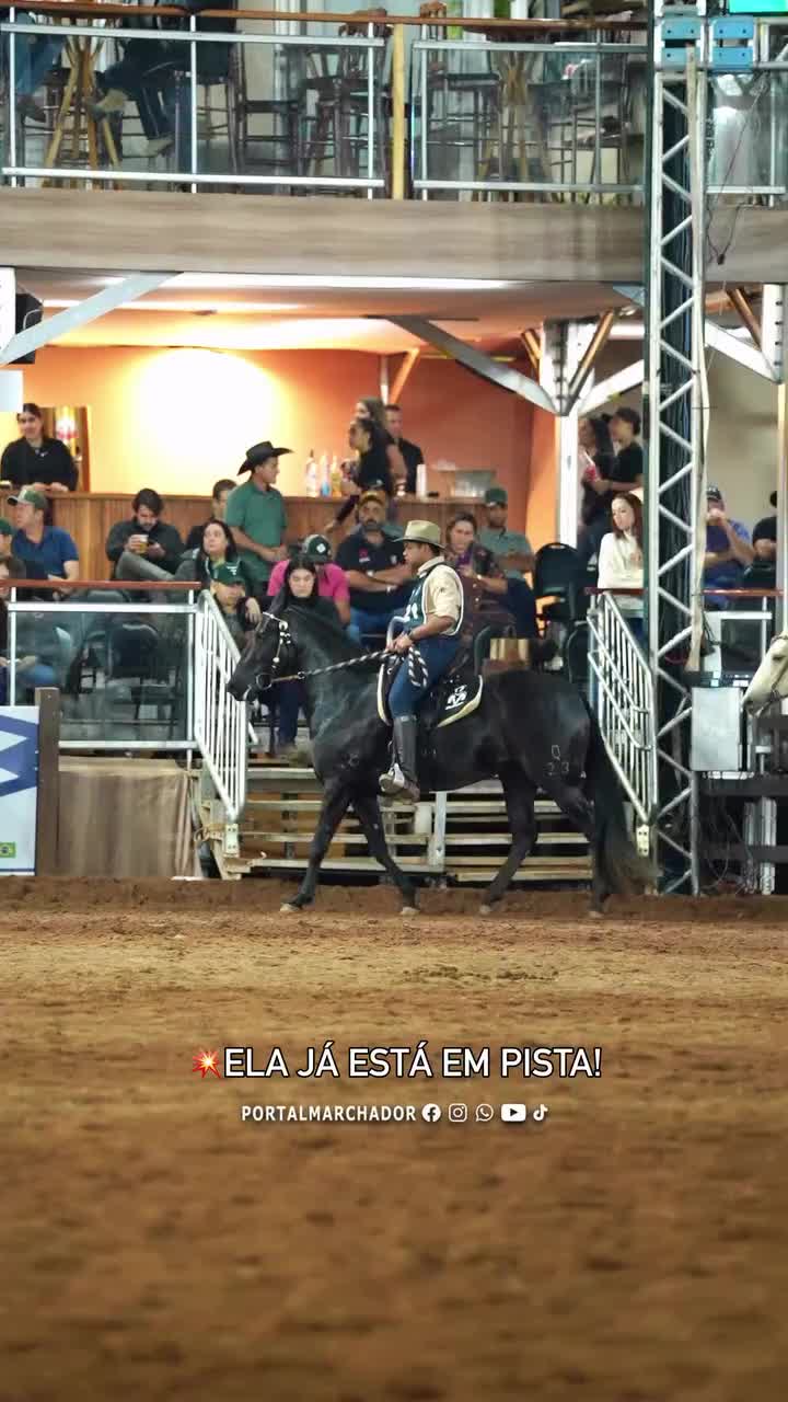 @Portal Marchador