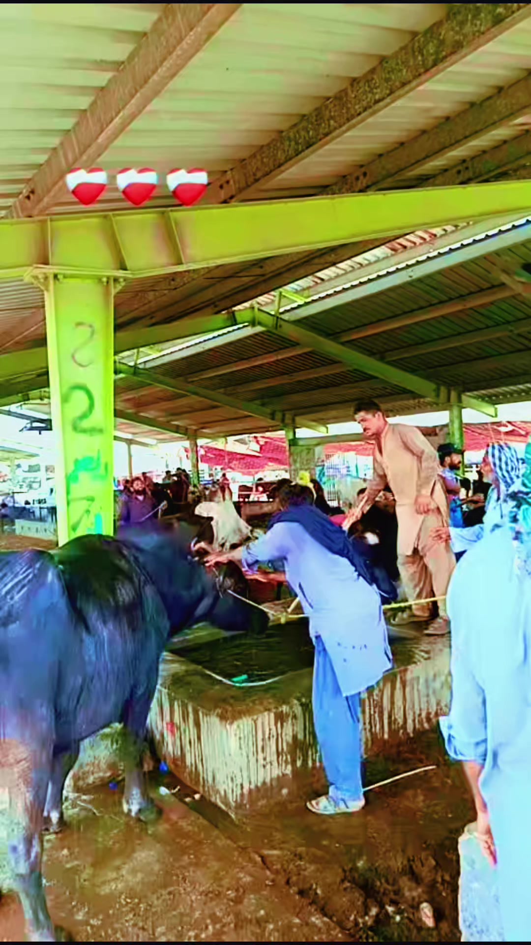 @شامی پرنس چاندی آلہ