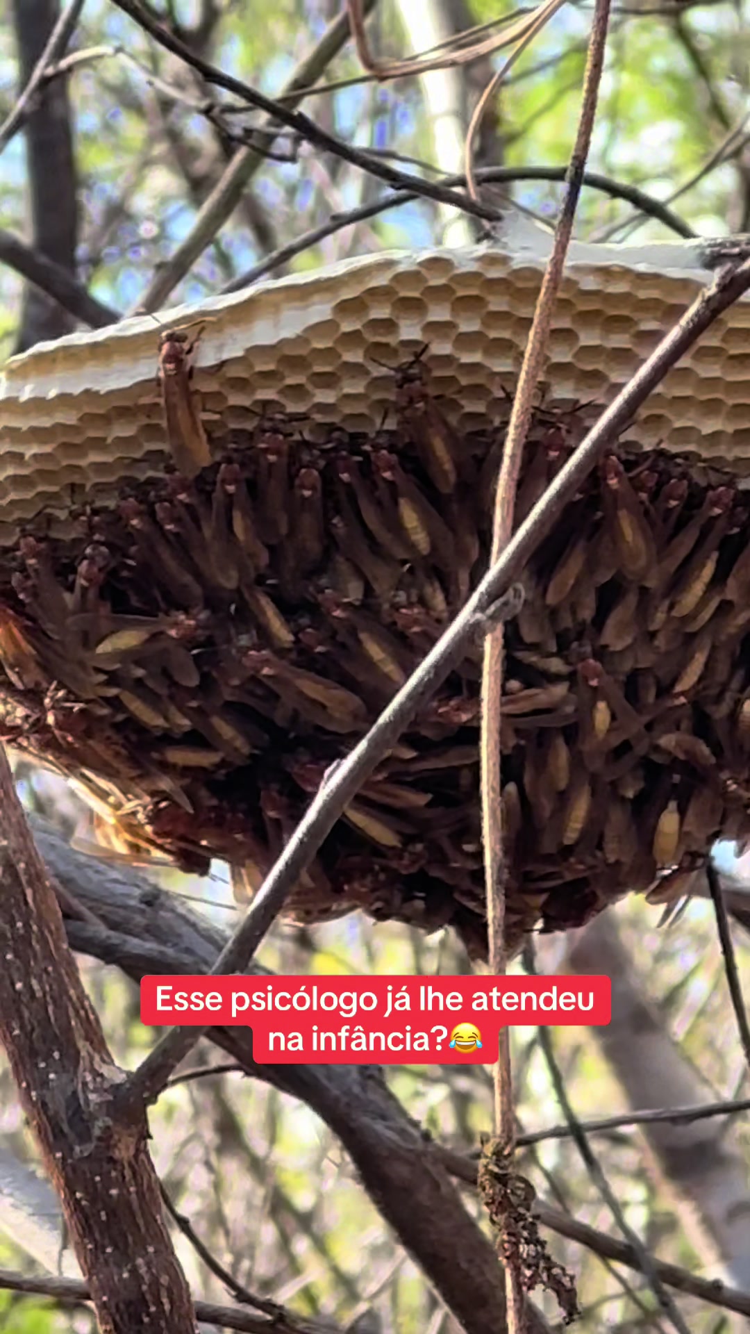 @🌵 Eu e meu vaqueiro 🌵