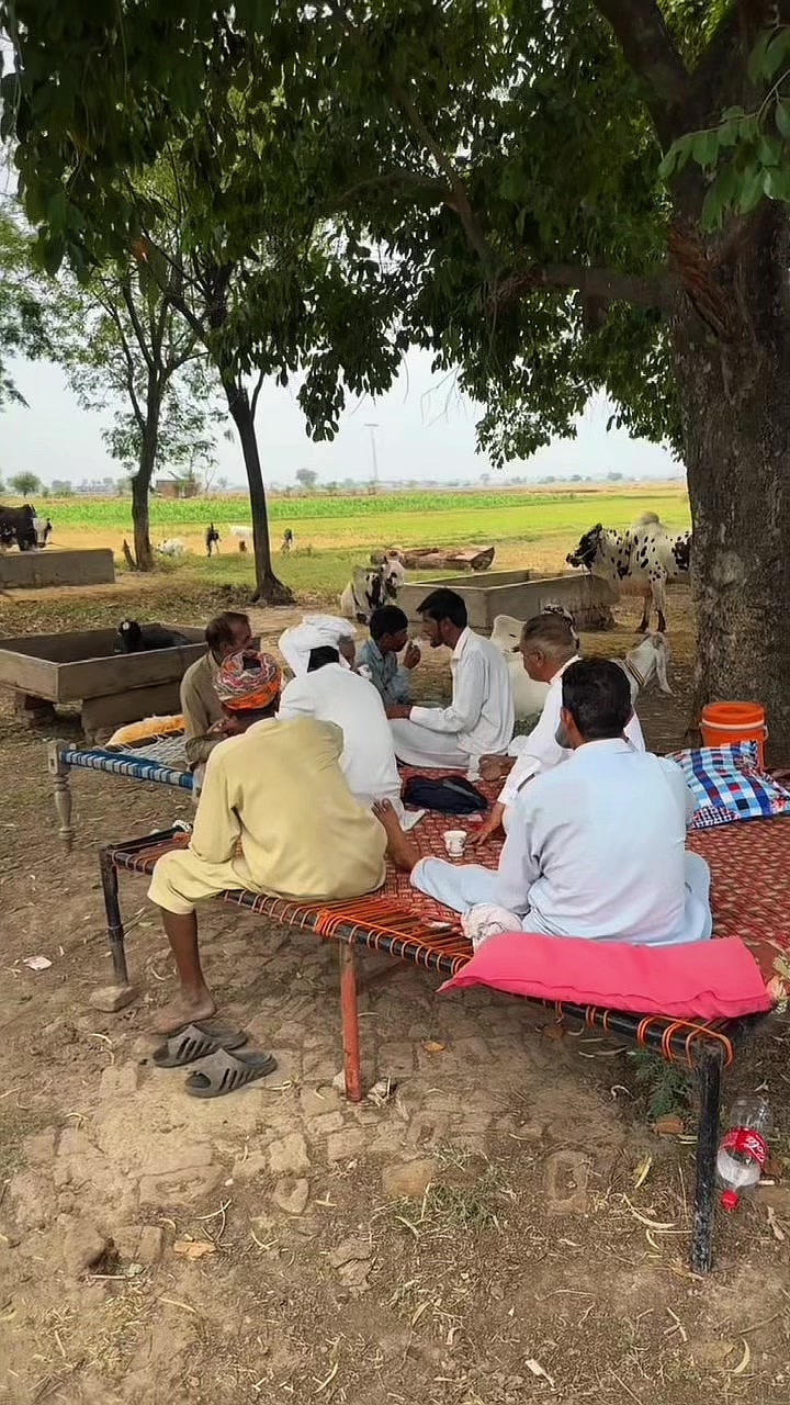 @حاجی تیمور( तैमुर)🧞